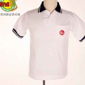 新品广州市协和高级中学校服 学生服夏季针织短袖衫