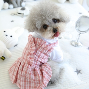 宠物比熊博美小型犬泰迪狗狗衣服春夏装春装夏天母狗公主连衣裙子