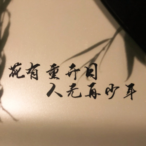 花有重开日人无再少年 个性文字定制 汽车贴纸反光贴纸小划痕装饰