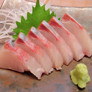 日料好货寒鰤鱼黄狮鱼青甘鱼中段鱼脂丰富口感好 刺身生鱼片