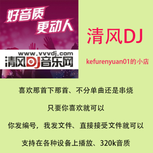 清风dj音乐网车载串烧清风单曲代下会员代下320k音质