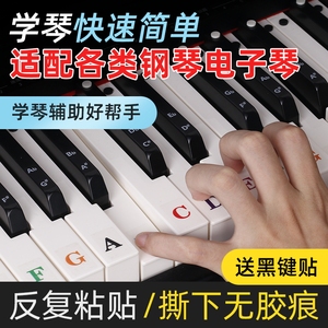 钢琴电子琴键盘贴字母按键贴音符贴儿童初学手卷钢琴通用音标贴纸