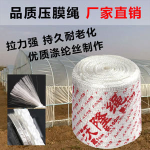 大棚抗风绳