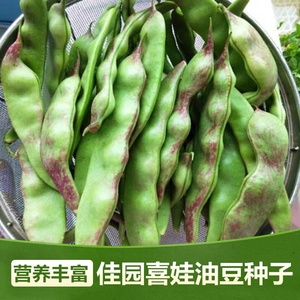 东北豆场