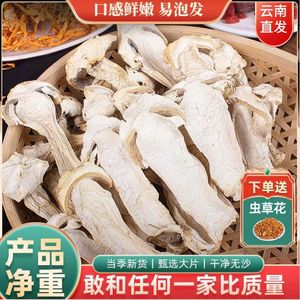 云南雪山松茸干货营养菌菇煲汤食用菌礼盒装松茸干片松茸菌特产