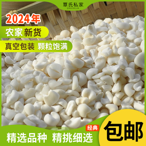 广西忻城珍珠糯玉米玉米粒碎渣碴子白玉米糯米干煮粥真空装玉米头