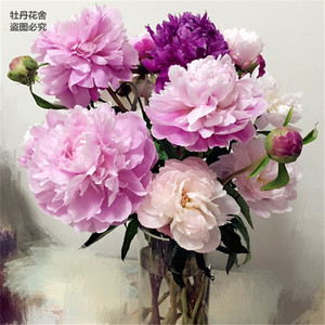 芍药花鲜切花
