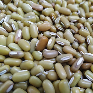 广西河池山区竹豆500g 农家自种懒豆 饭豆 爬山豆 竹豆 杂粮绿色