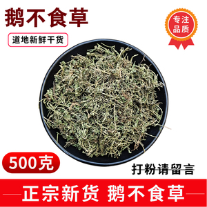 鹅不食草500g野生新鲜干货鹅不吃草中药材散装鹅不食草粉饿不食草