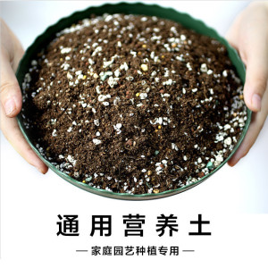 营养土包邮盆栽植物