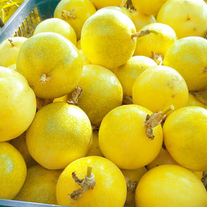 5斤现摘广西黄金百香果中果孕妇水果新鲜农家自种西番莲鸡蛋果