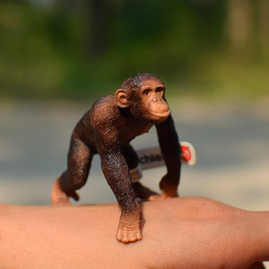 德国思L野生动物模型玩具 14817 雄性大猩猩 凯撒 猴子玩具模型
