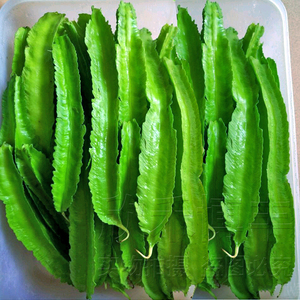 海南特色庭院春四季四角豆种籽四棱豆种子杨桃豆翼豆菜豆蔬菜种子