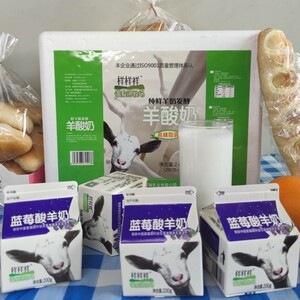 陕西富平样样祥蓝莓羊酸奶每盒200g发酵酸羊奶整箱12盒营养早餐