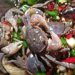 连云港生呛发财蟹醉蟹鲜活即食麻辣白玉蟹罐装小发财蟹2份包邮