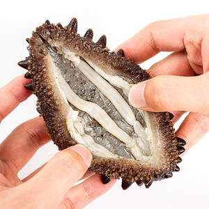 淡干海参 120g礼盒装深圳特产特级南澳淡干海参孕妇补品