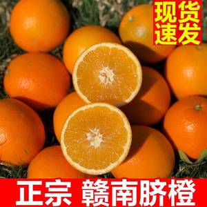 橙子赣南脐橙超甜新鲜水果5斤装精品大果赣州正宗产地直发