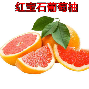 台湾红宝石葡萄柚嫁接苗 葡萄柚苗 西柚红心盆栽果树 当年结果木