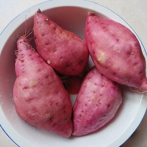 恩施农家自种红薯黄心鸡蛋苕番薯富锌地瓜山芋自留老品种蔬菜 5斤