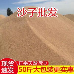 纯天然河沙细沙多肉种植种花沙子乌龟冬眠沙鱼缸沙建筑沙水族造景