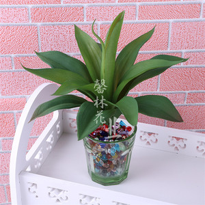 仿真龙舌兰芦荟剑麻绿植植物造景绿色假植物多肉客厅摆件沙漠