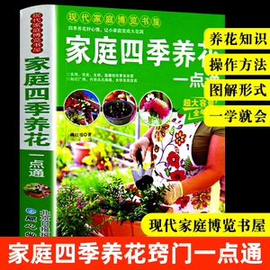 家庭四季养花一点通 家庭养花从新手到高手 种花图书大全花卉种植技术书籍 室内植物盆栽花卉养殖大全的书 北京日报出版社