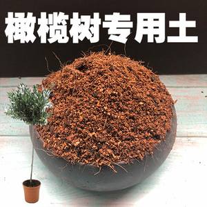 橄榄树土油橄榄树专用土盆栽营养土碱性沙质土壤家用绿植种植肥料