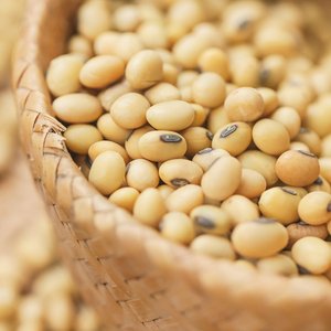 乐作|云南老种黄豆 豆香浓郁 可做豆浆豆芽 500克