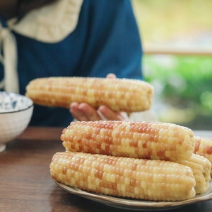 乐作｜云南小包谷 花糯玉米 香糯微甜原色原味  配料只有玉米 4斤