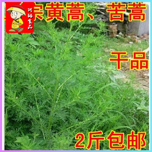 新鲜黄花蒿黄蒿青蒿 苦蒿 臭蒿 干品2斤包邮全草