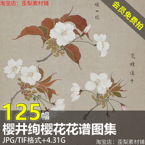 125幅4.3G樱井绚 花谱高清电子日本江户时代和风手绘花卉素材