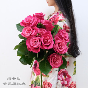 新品种塔卡兹肯尼亚玫瑰月季花苗阳台大花绿植花卉盆栽包活包对版