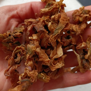 儿菜干农家自晒抱儿菜干脱水蔬菜菜干娃娃菜儿菜南充菜干干货蔬菜