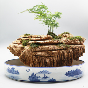 山水盆景假山室内吸水石假山小盆栽鱼缸造景摆件