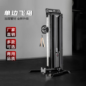 单边大小飞鸟龙门架小型下拉训练器高位下拉机家用健身器械多功能