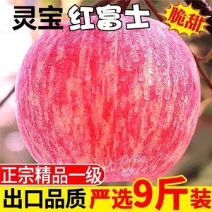 灵宝苹果寺河山红富士新鲜苹果水果圣诞苹果脆甜送人普通装不带字
