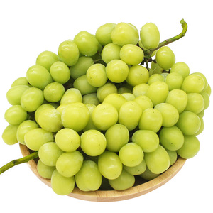 阳光玫瑰青提一级果 云南葡萄无籽 3斤整箱当季新鲜孕妇水果包邮
