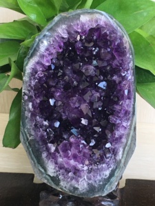 天然乌拉圭紫水晶簇族紫水晶镇紫水晶块原石矿摆件矿标收藏礼物