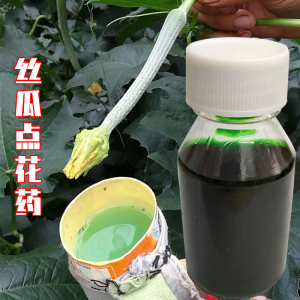 番茄 黄瓜 西葫芦 丝瓜专用蘸花药 生长调节剂 防丝瓜烂花 点花药