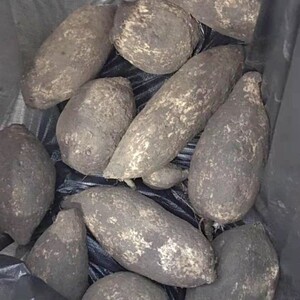 云南德宏洋丝瓜跟佛手瓜根新鲜上市了煮后软糯2斤