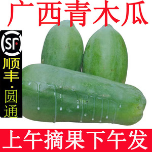 广西青木瓜新鲜农家自种番木瓜产妇下奶木瓜炒煲汤生木瓜顺丰包邮