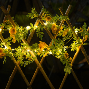 太阳能灯串户外防水庭院花园阳台装饰露营挂树上氛围led彩灯