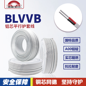国标BLVVB电线二2三3芯2.5/4/6/10/16平方铝芯护套线平行线