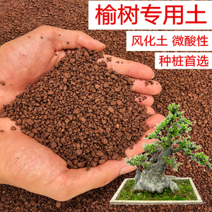 榆树土小叶榔榆专用土风化土颗粒土红土酸性土盆景土盆栽种植土