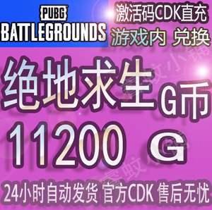 PUBG绝地求生g币11200G币coin充值金币激活码CDK箱子套装服饰皮肤