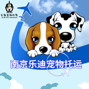 南京宠物托运狗猫托运公司空运汽运随机专车接送 全国托运300元起