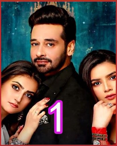 交错的爱  电视剧印度剧 中文超高清宣传画