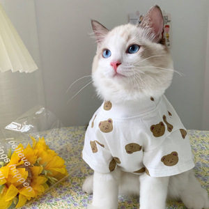 韩国ins猫咪衣服夏季薄款防掉毛布偶小奶猫可爱宠物狗狗猫猫衣服