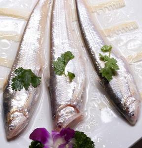 00巧克力九公主淘宝辽河特产盘锦河刀鱼每条3两每斤200元辽宁省3斤