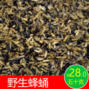 蜂蛹野生新鲜马蜂蛹蜂幼虫蜂儿胡蜂黄蜂蛹虎头蜂虫蜂产品可泡酒